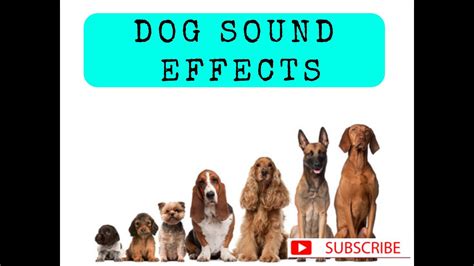 This is similar to how puppies interact with their mothers, by asking for something with. Dog Sound Effects - YouTube