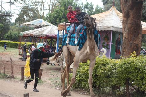 Bakra eid observes every year in the month of the islamic date of zulhijjah 10. Muslims celebrate Idd-Ul-Adha : The standard Sports