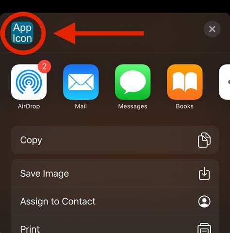ios - iOS13 share sheet: how to set preview thumbnail when ...