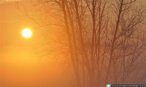 Du sable venu du sahara donne une couleur jaune et ocre au ciel de l'est de la france. Ciel jaune. Fond d'écran HD à télécharger | Elegant Wallpapers