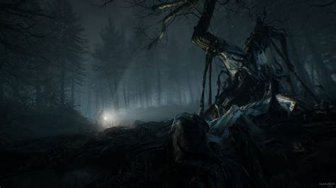 Ellis is a veteran of the gulf war, and as such, he. Blair Witch (2019 video game)
