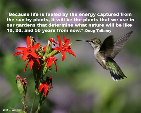 Flower quotes are the perfect way to share your love for the garden! Doug Tallamy quote | Natural landscaping, Native plants, Native plant landscape
