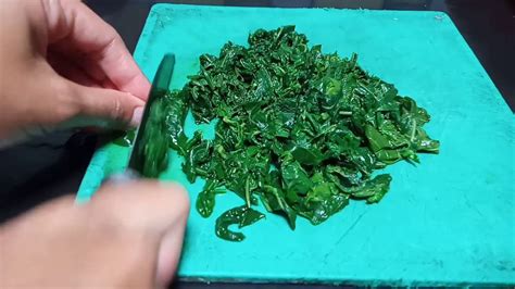 Rebus air hingga mendidih, lalu masukkan daun pandannya. CARA MEREBUS DAUN SINGKONG AGAR TETAP HIJAU DAN EMPUK ...
