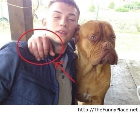 It gives the opportunity for a parent to relive their younger days through these funny photo shopped pictures. photoshop - TheFunnyPlace