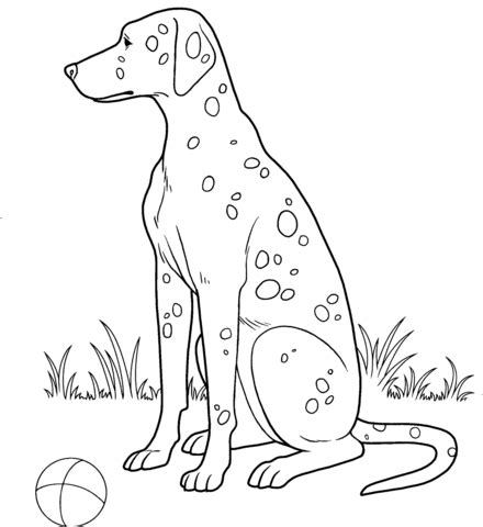 Designers also selected these stock illustrations. Dalmatian coloring page | SuperColoring.com