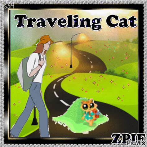 Traveling cats is the world's largest collection of travel pictures of cats. Traveling Cat - PicMix