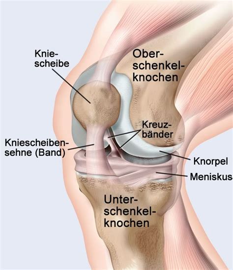 Diskutiere stechender schmerz im knie! Der Laufgedanke: Eiswürfel auf´s Knie! - Woher kommt der ...