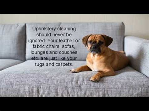 When pets lie on your sofa or other upholstered items, their fur or hair sticks to the fabric and pet odor permeates the fabric. Upholstery Cleaning Service Brisbane - YouTube