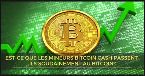 From that month's average price, bitcoin increased a little over 50x to the peak in 2017. the bitcoin price has already doubled in the first three months of 2021, climbing from just under $30,000. Est-ce que les mineurs Bitcoin Cash passent-ils ...