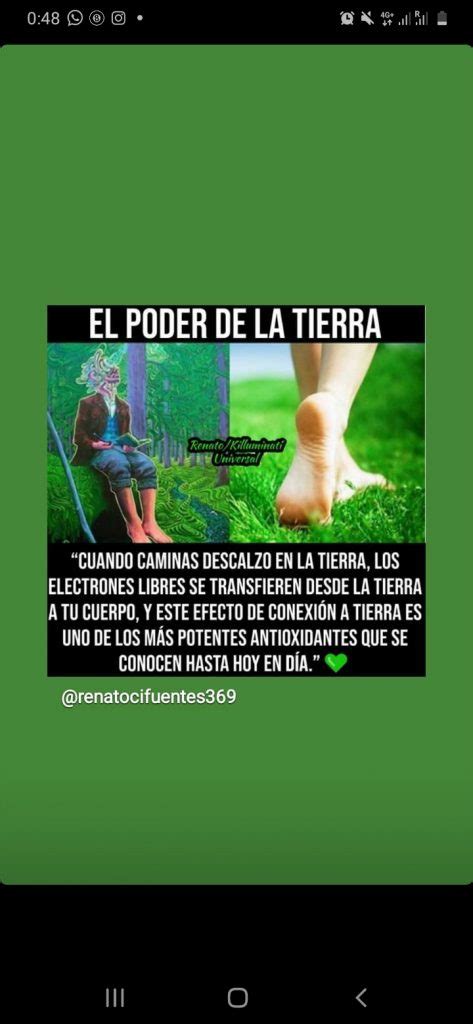 MonterreyCannabis.com Venta de Marihuana a domicilio en ...