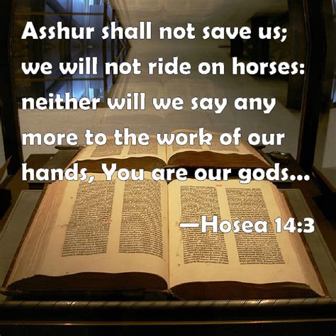 We've highlighted the biggest changes so you can get a quick overview of what to expect after. Hosea 14:3 Asshur shall not save us; we will not ride on ...