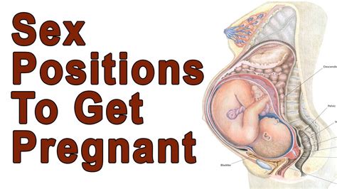 For a permanent link to this article, or to bookmark it for further reading, click here. Do You Know how to get pregnant Fast? | positions get ...