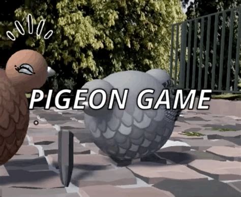 Find and open the digital pigeon cef or digital pigeon folder for older versions of the app. Pigeon Game - Lutris