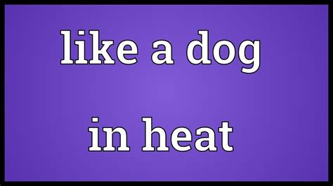 Ike is an acronym, abbreviation or slang word that is explained above where the ike definition is given. Like a dog in heat Meaning - YouTube