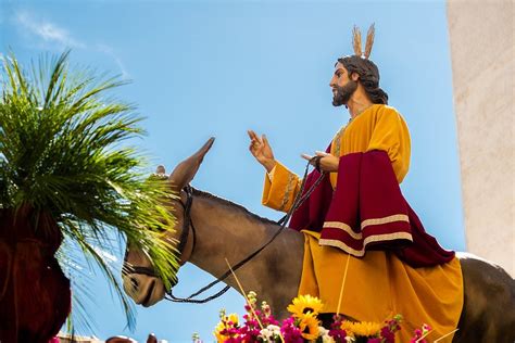 Minggu palma 5 april 2020 mazmur tanggapan bait pengantar injil ps 819 ps 965. "Lepaskan keledai itu..." (Mat 21:2) - Renungan Minggu ...