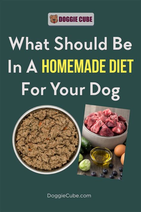 If your dog has been diagnosed with diabetes, you are likely feeling overwhelmed. What Should Be In A Homemade Diet For Your Dog? - Doggie ...