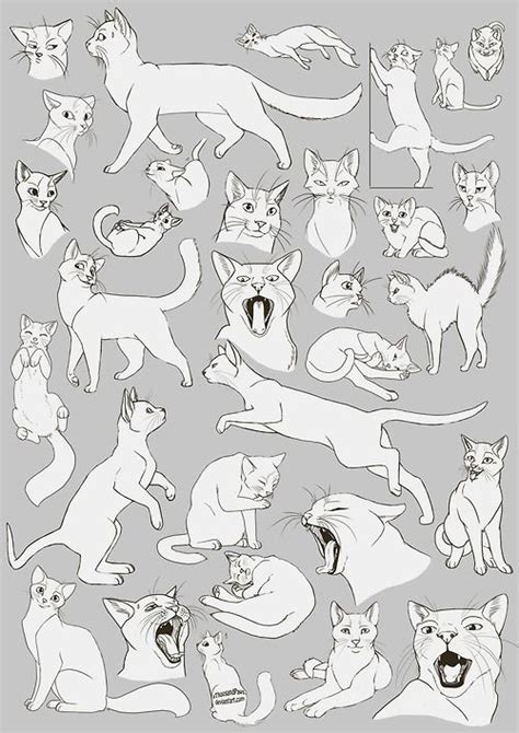 Just having fun coming up with character designs and drawing. Cat anatomy … | 동물 그리는 법, 고양이 그림, 동물 해부학