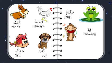 Atas sebab ini, anda harus belajar dengan baik untuk menyelesaikan pendidikan bahasa dengan betul. HAIWAN DALAM BAHASA ARAB (الحَيَوَانَات) - YouTube