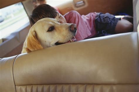 Check spelling or type a new query. Can You Use Vinegar to Clean Leather? | eHow