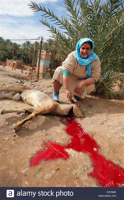 Woman hunter kills sika stag, its hot in the heat of late summer. BERBER WOMAN FROM THE VILLAGE OF AMZROU KILLING A GOAT FOR ...