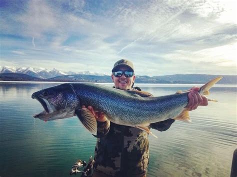 Major tributaries are the flathead and swan rivers. Flathead Lake Fishing in Montana - Western Timberline ...