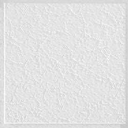 Shop wayfair for all the best 12 x 12 floor tiles & wall tiles. Armstrong® Grenoble™ White Textured Ceiling Tile at Menards®