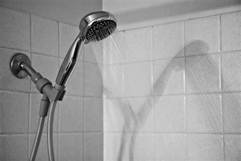 We did not find results for: showerhead | 95/365 After an unplanned 2 week hiatus from ...