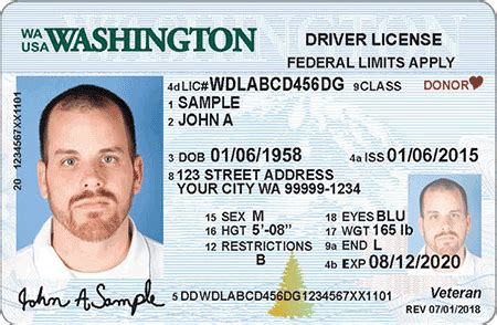 Washington state notary publics need to apply for appointment prior to providing notary services. Washington Driver's License, Enhanced (Novelty) | Drivers ...