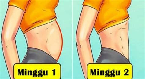 Apakah anda selalu ingin cepat kurus dalam waktu singkat? Kurus 4 Kg Dalam Waktu Seminggu Itu Simpel dan Bisa Banget ...