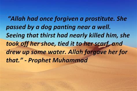 What trust in god, but tie your camel points out is that although god's will is supreme, we still have free will and the responsibility to decide our fates. Pin op Prophet Muhammad