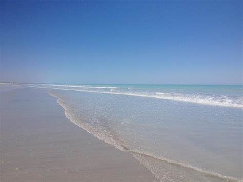 The folk of the air (book 1), written by holly black, narrated by caitlin kelly. Blog from 80 Mile Beach, Western Australia | The Brady ...