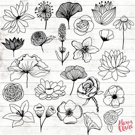 Different types of flowers drawing. Flowers Clipart - 23 Hand Drawn Floral Cliparts ...