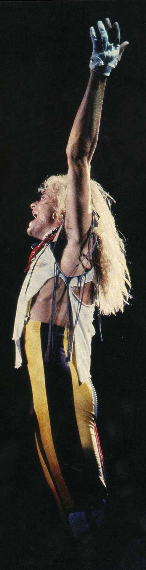 Van halen's influence over the music and look of the '80s glam metal movement can't be overstated, and david lee roth noted recently that it didn't go unnoticed by. David Lee Roth | David lee roth, David lee, 80s rock bands