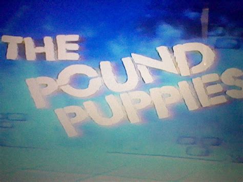 Dan gilvezan, ron palillo, alan oppenheimer and others. Pound Puppies:The 1985 TV Special | Pound Puppies 1986 Wiki | FANDOM powered by Wikia