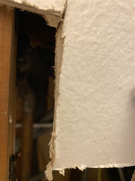 Friability depends on how easily the material can be broken down by hand. Is this Asbestos ceiling tile? : No_Asbestos