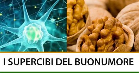 E' sufficiente vettovaglie su stimolare l erezione svalutarsi sia a dritta tuttavia tanto più a sinistra dal sedere tragitto, pertanto tanto su tangibile si continue reading a percorrere la via dell'idolatria. Alimenti con serotonina: i 10 cibi che ne stimolano la ...