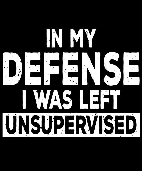 Let's see how they survive on the bare minimum, below poverty line. "In My Defense I Was Left Unsupervised | Funny Shirts for ...