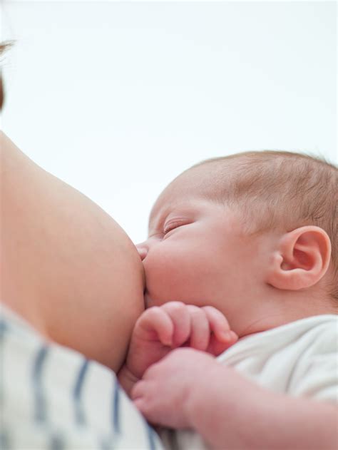  nutre completamente durante los primeros 6 meses de vida. Apoyo para la lactancia materna en madres e hijos sanos ...