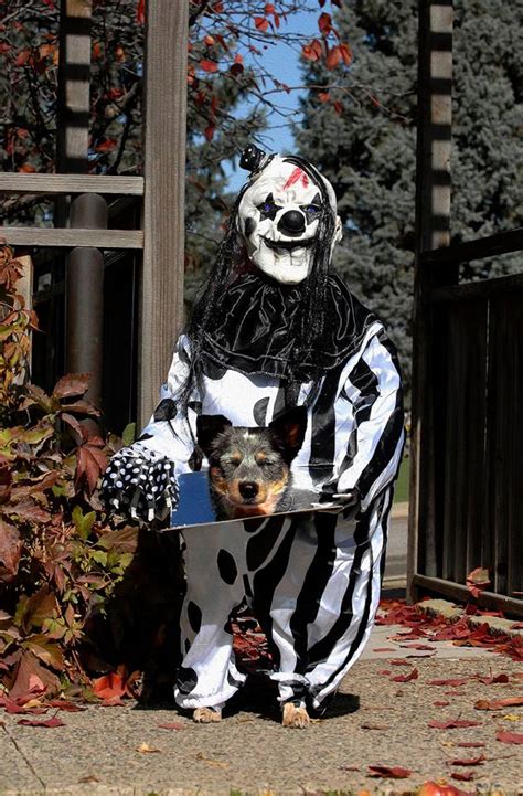 Due to the offtopicness in another topic, i decided to create this one instead. Announcing the Winners of the 2018 DogWatch Halloween ...