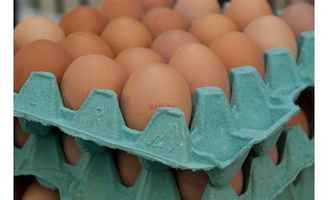 The food regulations 1985 [p.u. Plotting a Course Through Food Contact Packaging ...