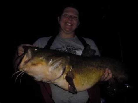 So why do i call it frankenstein? Brooke Flathead Catfishing - YouTube