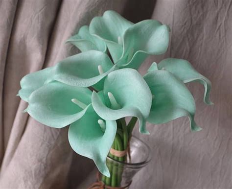 The last is a picture of someone holding this size bouquet just for reference. 10 Mint Picasso Green Calla Lilies, Real Touch Flowers ...