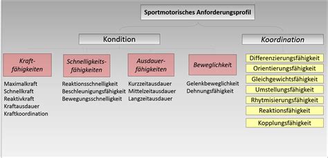 Trainingsalter definition koordinative fähigkeiten fazit koord. DSV Rahmentrainingsplan: Sportmotorisches Anforderungsprofil