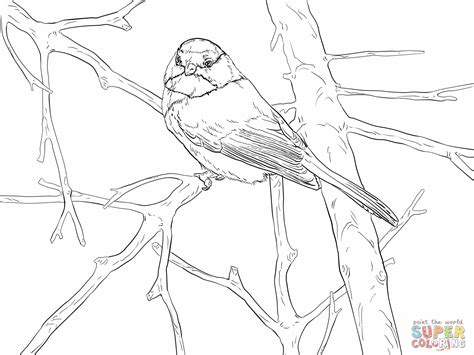 Polish your personal project or design with these black capped chickadee transparent png images, make it even more personalized and more attractive. http://www.supercoloring.com/wp-content/uploads/original ...