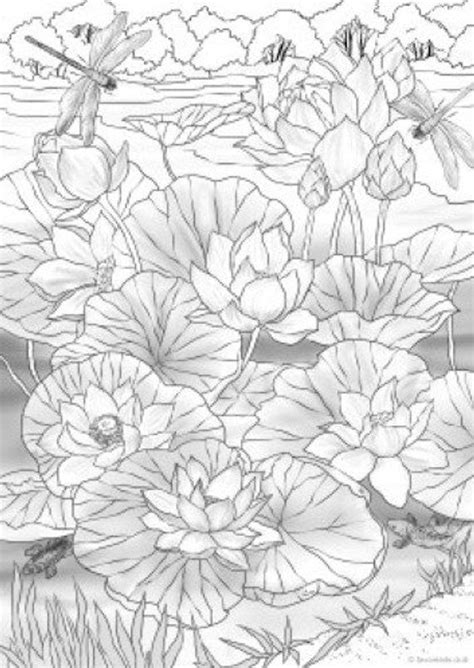 You can use our amazing online tool to color and edit the following lily coloring pages. Water Lilies - Printable Adult Coloring Page from ...