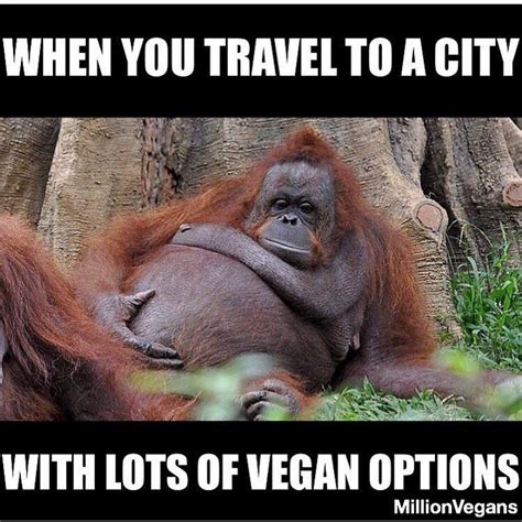 Pin by Vegelante on Vegan Memes in 2020 | Vegan options ...