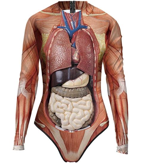 (1) epithelial tissues, which cover the body's surface and line the internal organs, body cavities. Anatomically Correct Internal Organs Printed Swimsuit