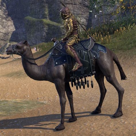 To get a camel mount you will need to have a level 26 or higher (any tier) horse, but the higher the tier of horse the more seals you will receive in. Elder Scrolls Online Black Camel of Ill Omen - ESO Fashion