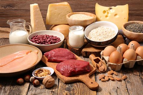 Introduction To Protein And High Protein Foods - Unlock Food