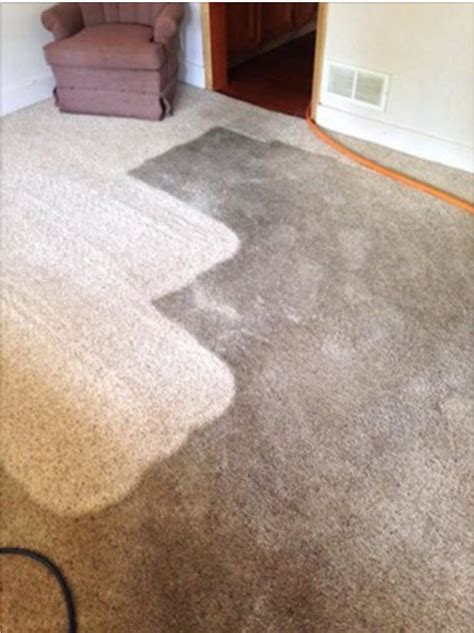 Wash carpets every three months using one of our top rated carpet cleaning machines, from the likes of bissell or vax. OUR WORK - Heaven's Best Carpet & Upholstery Cleaning